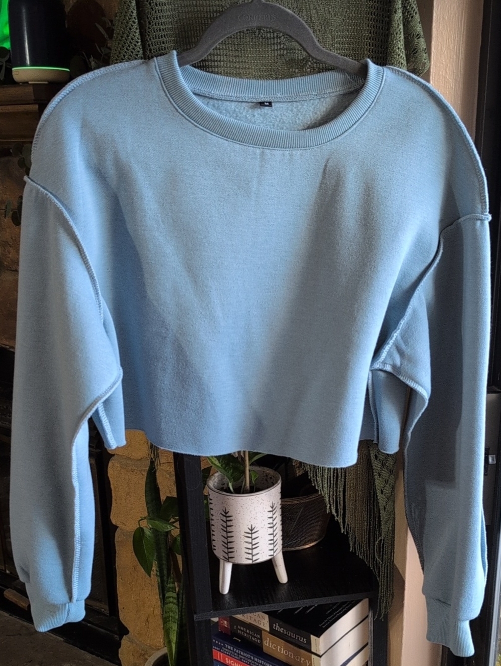 Cropped Crewneck Sweatshirt in Light Blue — Women's Casual Top